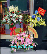Điện hoa Thừa Thiên - Huế