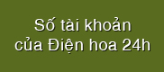 So tai khoan - Điện hoa 24h
