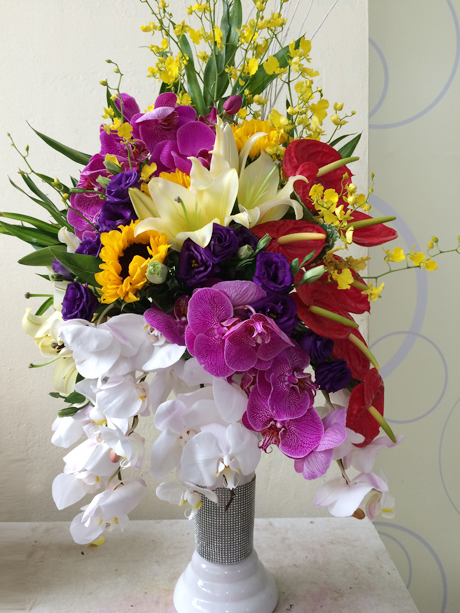 Hoa chúc mừng giáng sinh