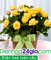 Ghép cây hoa hồng