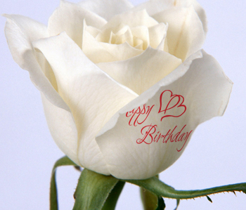 Speaking roses và những điều muốn nói