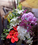 Chơi hoa ngày Tết - Style 2012