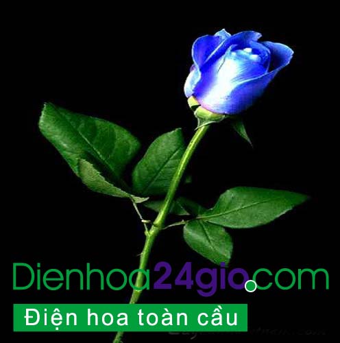 Bán hoa dưới lòng đường, gây cản trở giao thông