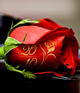 Dịch vụ in chữ