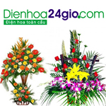 Hoa bìm bìm Nhật Bản