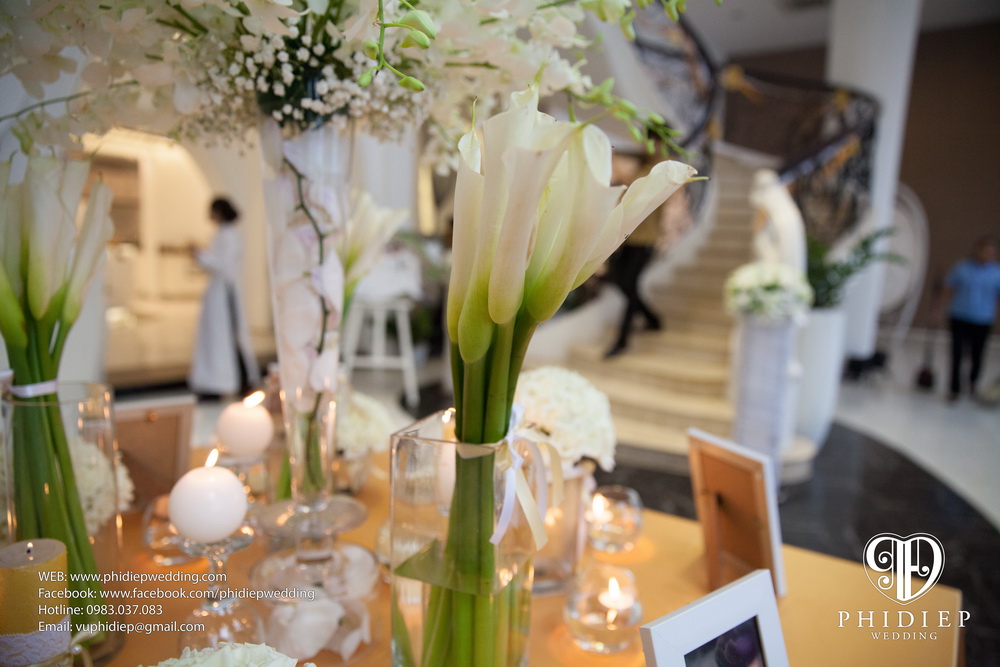 Chăm sóc và chơi hoa ngày tết