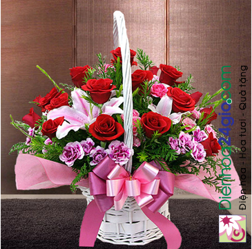 Câu hỏi thường gặp