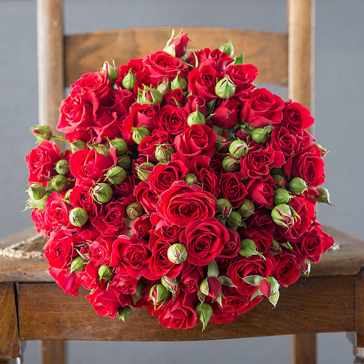 Những loài hoa yêu thích của phụ nữ