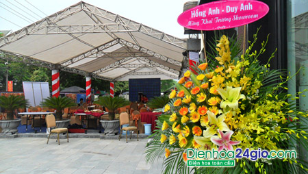 Hoa Chúc mừng khai trương Rượu vang NAPA VALLEY USA