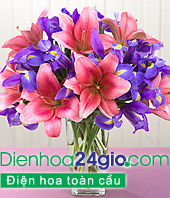 Ý nghĩa, màu sắc của các loài hoa