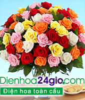 Cách Cắm Hoa Đồng Tiền Cách Cắm Hoa Đồng Tiền