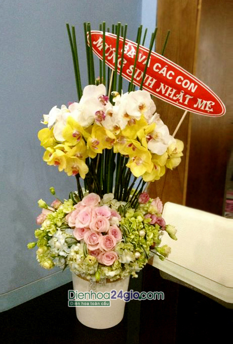 Chọn hoa sinh nhật với hoa lan hồ điệp