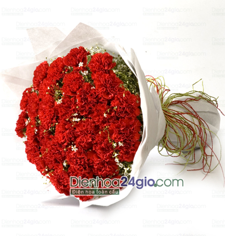 Sinh nhật mẹ với hoa cẩm chướng