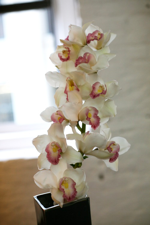 Hoa đẹp 20-10, Cắm Địa lan để bàn 'hút mắt', hoa tươi tặng bạn gái