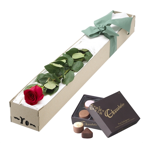 Cánh Hoa Thiên Thu