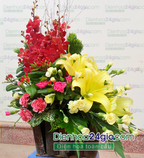 Shop hoa khai trương Hải Phòng nào đẹp?