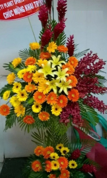 Các mẫu kệ hoa khai trương đẹp với hoa đồng tiền