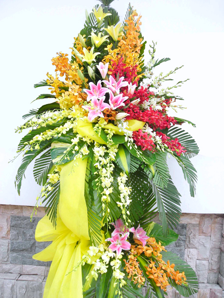 Điện hoa 24h cung cấp dịch vụ đặt hoa khai trương quận 9 qua điện thoại và mạng internet