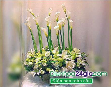 Hoa rum – cảm nhận sâu sắc về tình yêu