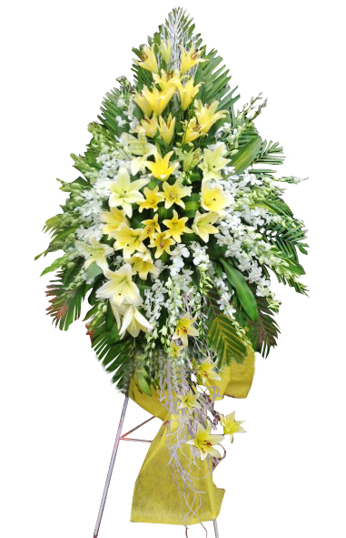 Muốn mua hoa khai trương rẻ đẹp ở quận 11 thì mua ở đâu?