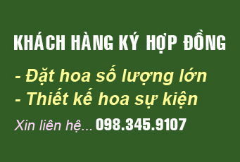 Dành cho khách cần báo giá, ký hợp đồng lâu dài