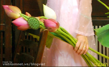 Hương sen hạ thành 2