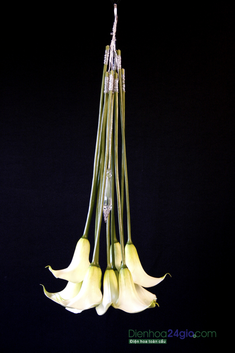 Hoa cưới đẹp!. các mẫu hoa cưới