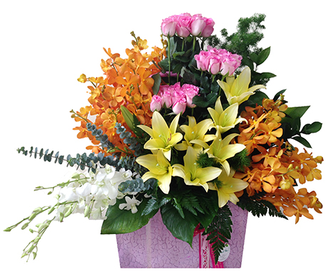 Lãng hoa đẹp tươi cho năm học mới