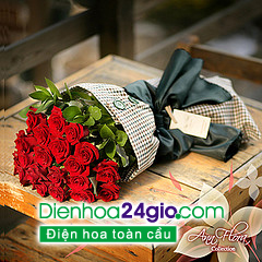 Cẩm tú cầu kỳ ảo