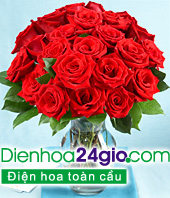 Hoa Cúc dành cho Ngày của Mẹ