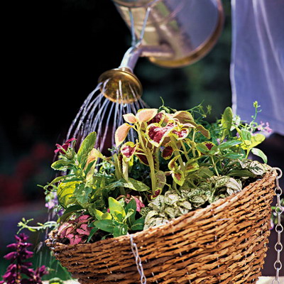 Nghệ thuật tặng hoa