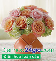 Gặp gỡ nhà xuất khẩu hoa hồng lớn nhất thế giới