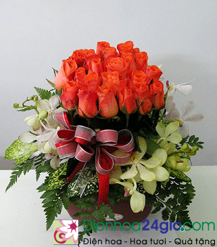 Những điều bạn chưa biết về hoa hồng cam