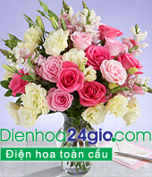 Chùm ảnh Mùa hoa sữa về