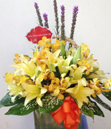 Hoa sinh nhật - Hoa hậu Diễm Hương rạng ngời ngày sinh nhật