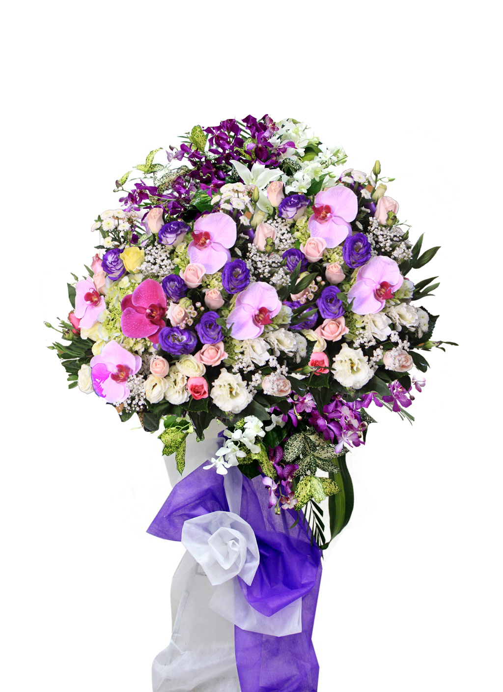 Lãng hoa chúc mừng Xuân Đinh Dậu