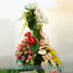 Giỏ hoa chúc mừng 17