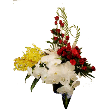 Hanoi Flowers, Hanoi Florist & Flower Shop- Florist Flower Delivery To Hanoi, Saigon, Ho Chi Minh City, Nha Trang, Vung tau, Vietnam(VN)- Send Flower To Vietnam(VN) Flower Same Day Delivery Flowers To Thanh Xuan Dist, Dong Da Distric, Hai Ba Trung District
