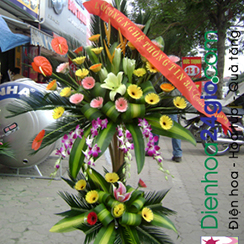 Lẵng hoa khai trương 02