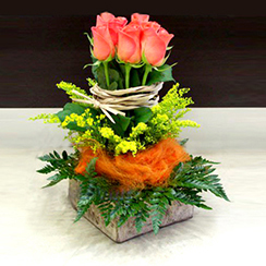 Hoa chúc mừng đẹp