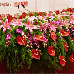 Hoa để bàn đẹp 4