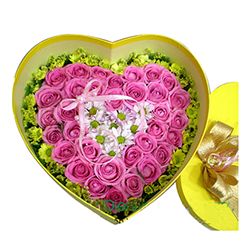 Hộp tim hồng, cúc