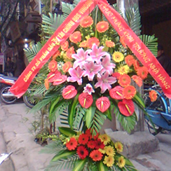 Kệ hoa khai trương KT24