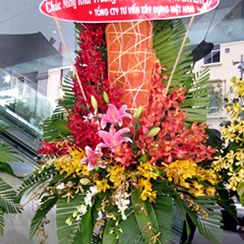 Lẵng hoa khai trương 35