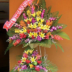 Hoa chúc mừng KT43