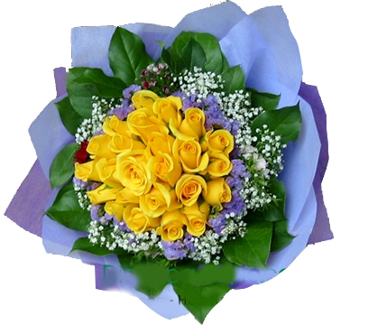 Bó hoa hồng vàng 