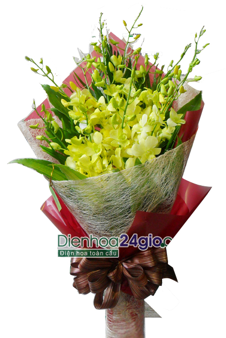 Bó hoa lan vàng HB19