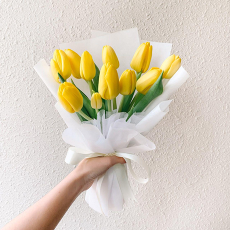 Bó hoa tulips đẹp HB647