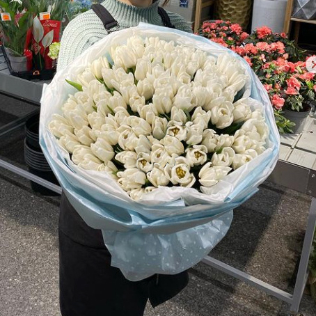 Bó hoa tulips đẹp HB659