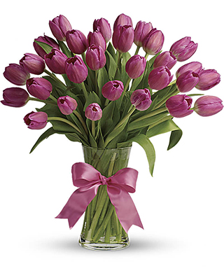 Bó hoa tulips đẹp HB642